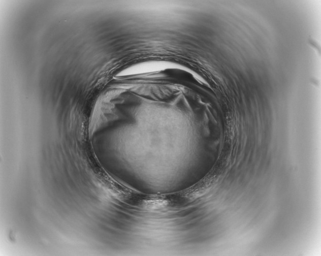 X0000093220266200710241222