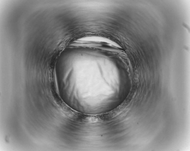 X0000093220272200710241222