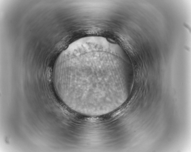 X0000093220273200710241222