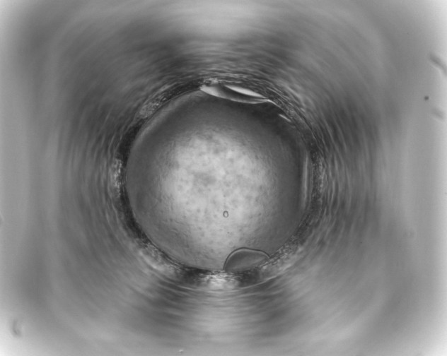 X0000093220275200710241222