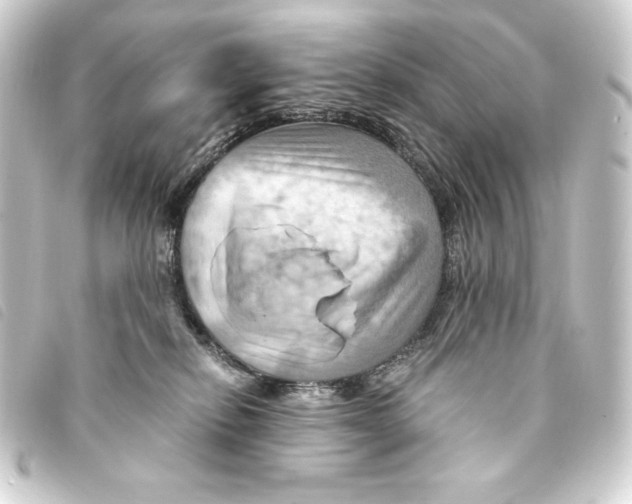 X0000093220278200710241222