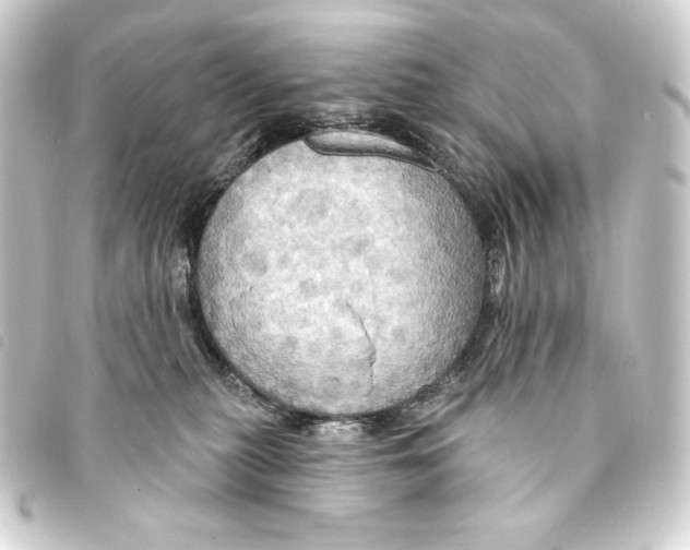 X0000093220279200710241222