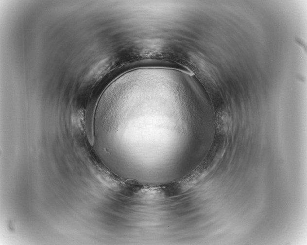 X0000093220280200710241222