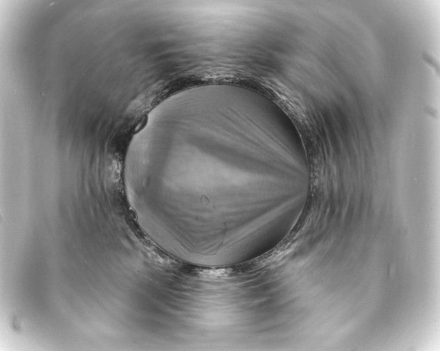 X0000093220281200710241222