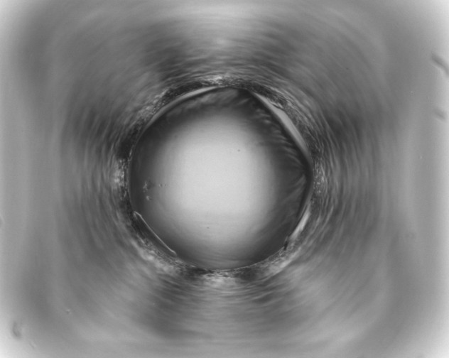 X0000093220284200710241222