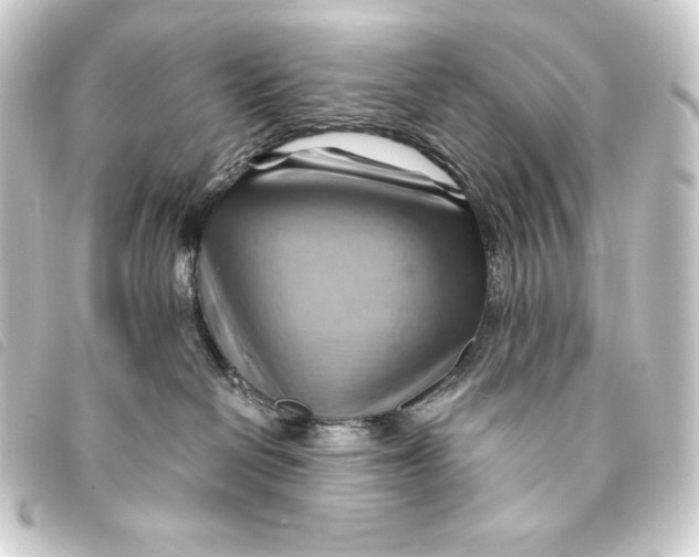 X0000093220286200710241222