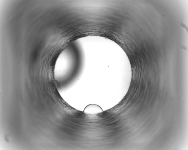 X0000093220287200710241222