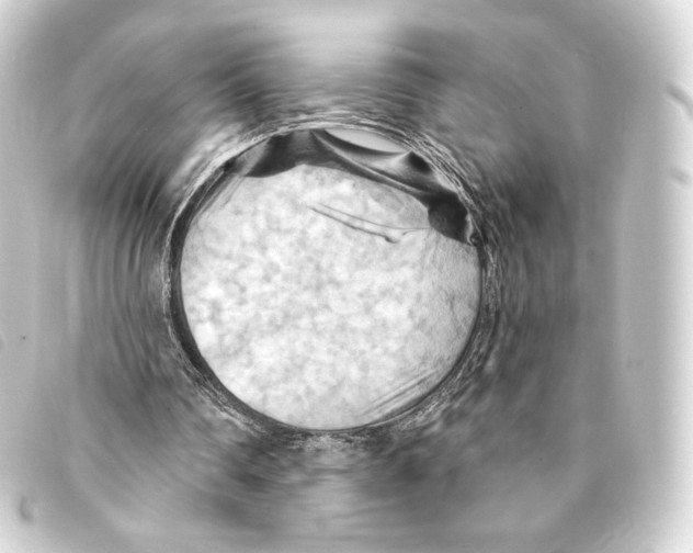 X0000093220290200710241222