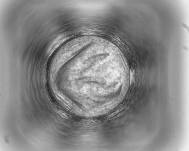 X0000093220291200710241222