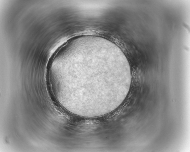 X0000093220292200710241222