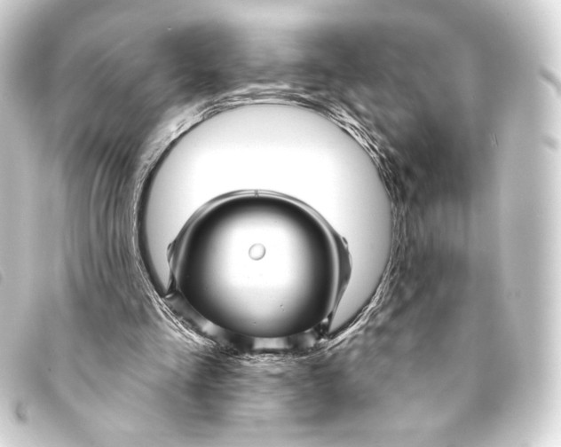 X0000093220293200710241222