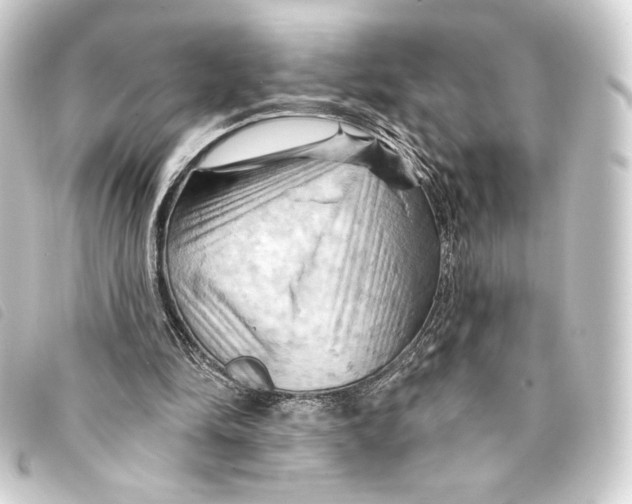 X0000093220294200710241222