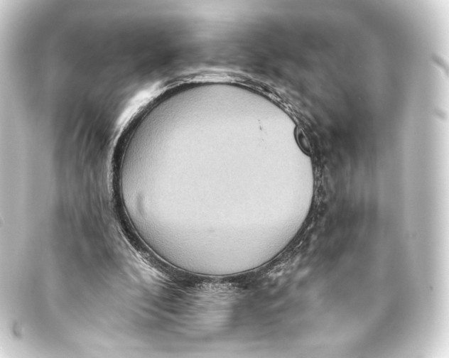 X0000093220296200710241222