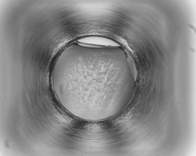 X0000093220299200710241221