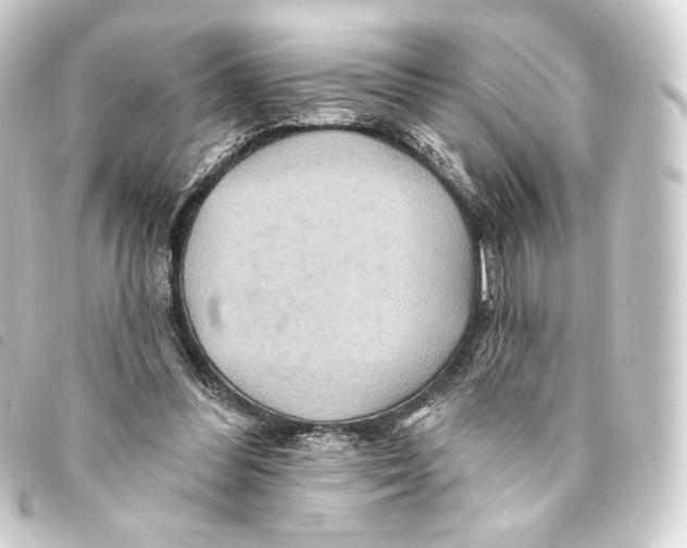 X0000093220300200710241221