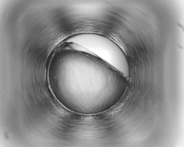 X0000093220301200710241221