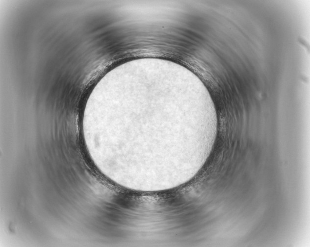 X0000093220302200710241221