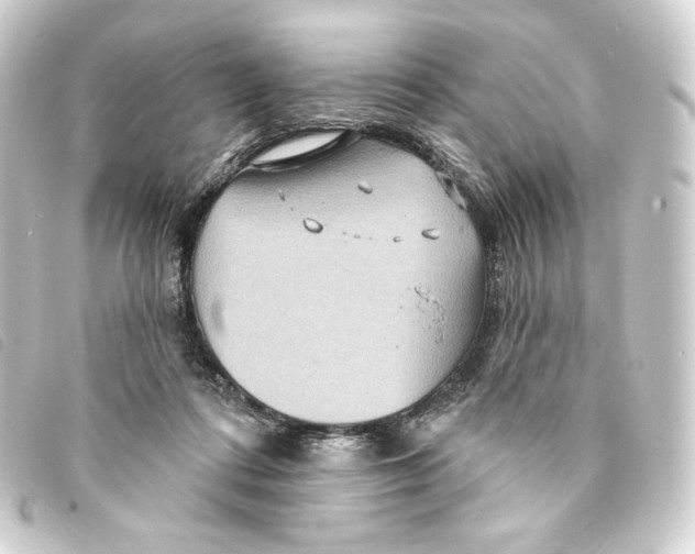 X0000093220312200710241221