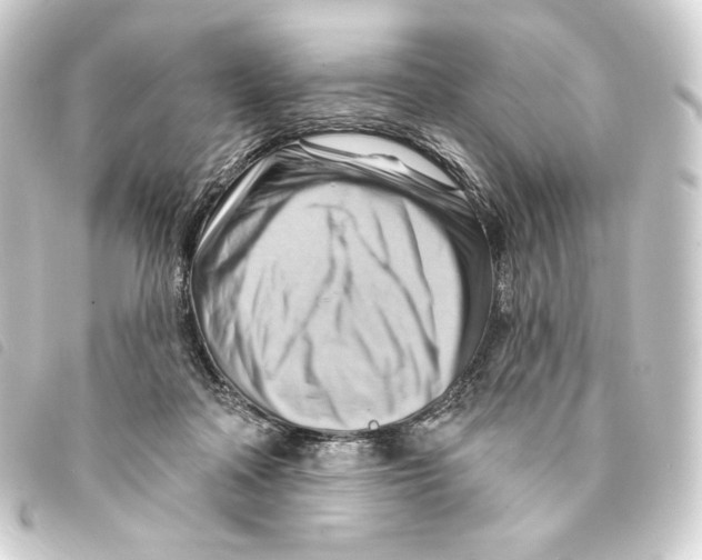 X0000093220314200710241221