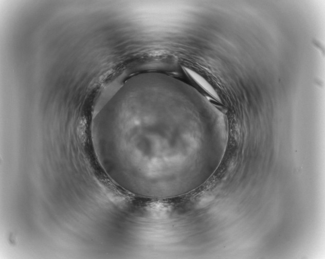 X0000093220319200710241221