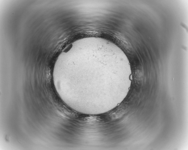 X0000093220320200710241221