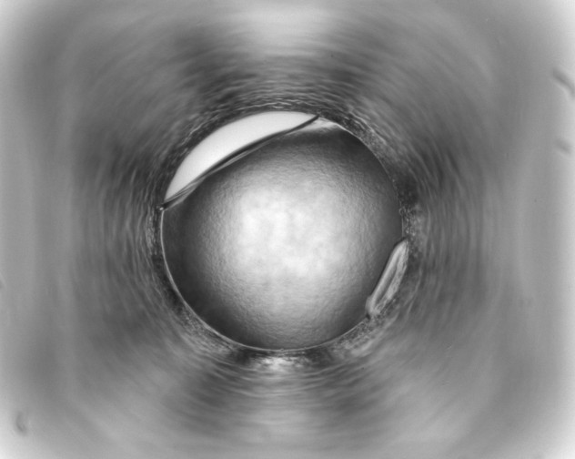 X0000093220323200710241221