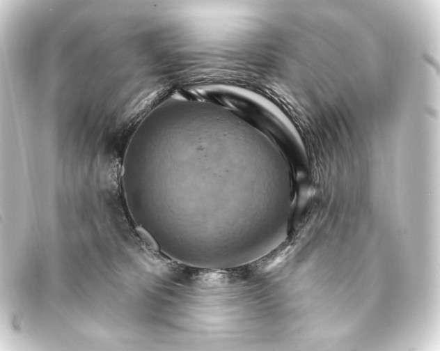 X0000093220325200710241221