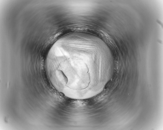 X0000093220326200710241221