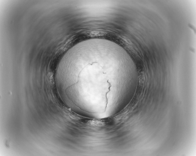 X0000093220327200710241221