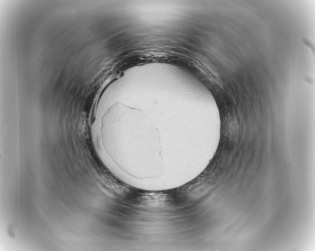 X0000093220328200710241221