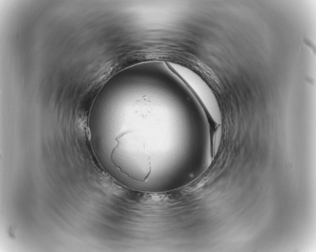 X0000093220329200710241221