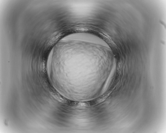 X0000093220330200710241221