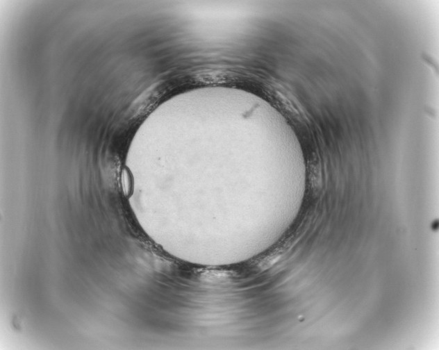 X0000093220332200710241221