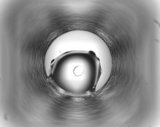 X0000093220333200710241221