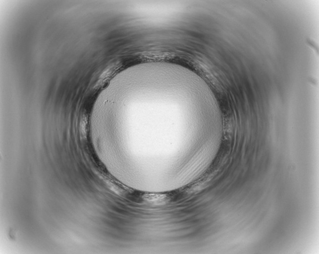 X0000093220334200710241221