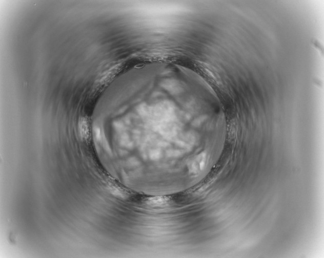 X0000093220335200710241221