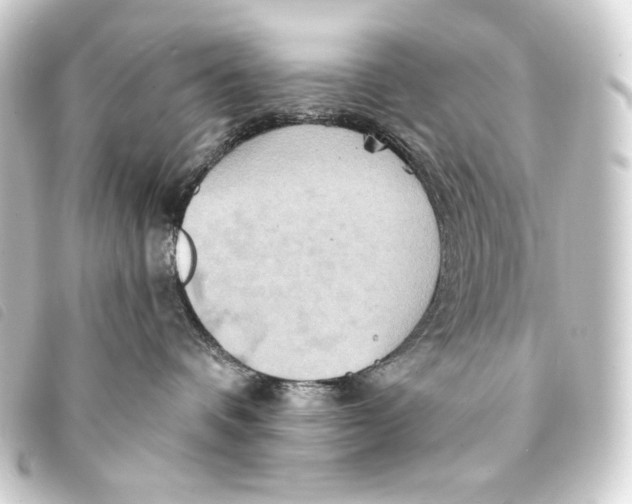 X0000093220336200710241221