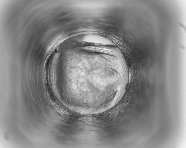 X0000093220339200710241221