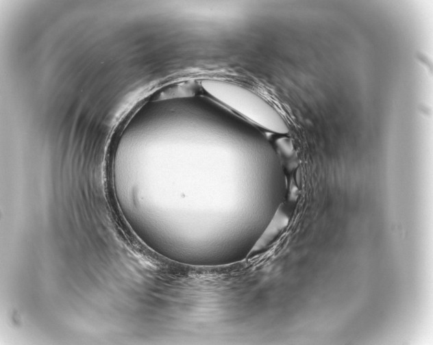 X0000093220340200710241221