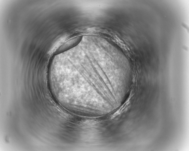 X0000093220341200710241221