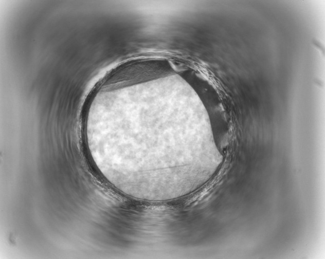 X0000093220342200710241221