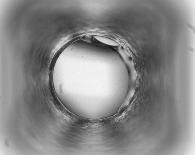 X0000093220344200710241221