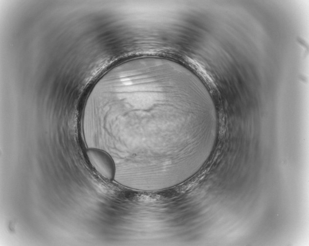 X0000093220346200710241221