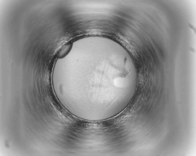 X0000093220347200710241221