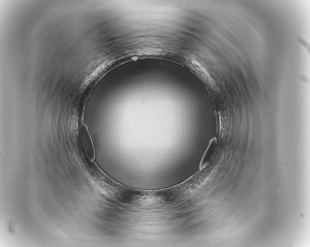 X0000093220348200710241221