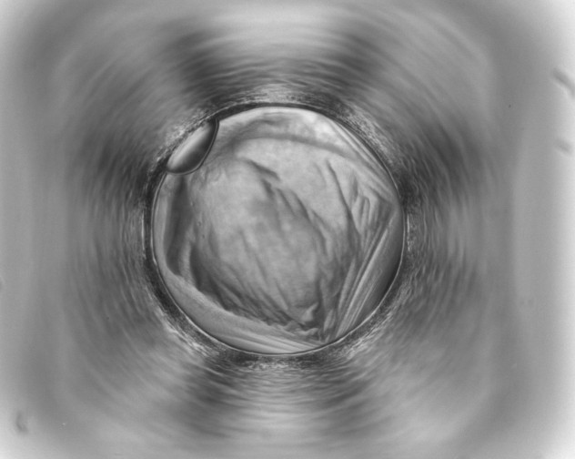 X0000093220349200710241221