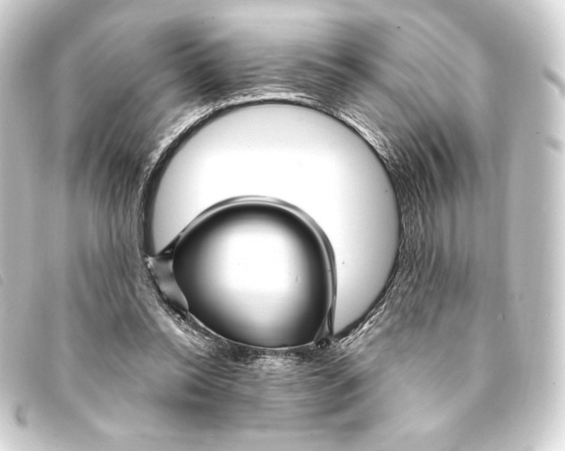 X0000093220350200710241221