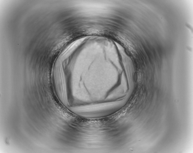 X0000093220353200710241221