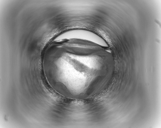 X0000093220354200710241221