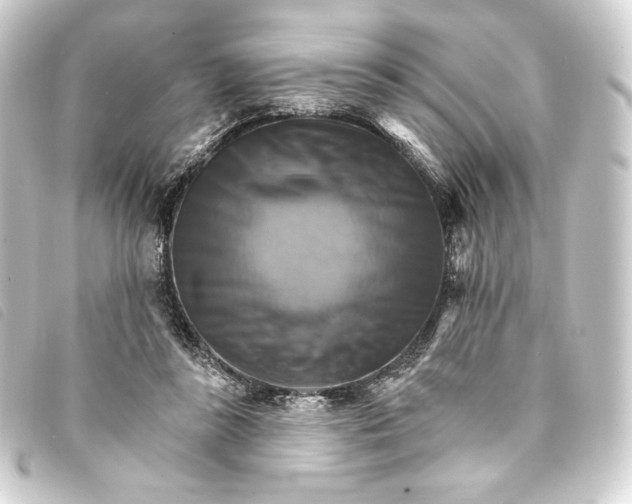 X0000093220355200710241221